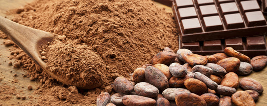 Top Cocoa Producing Countries
