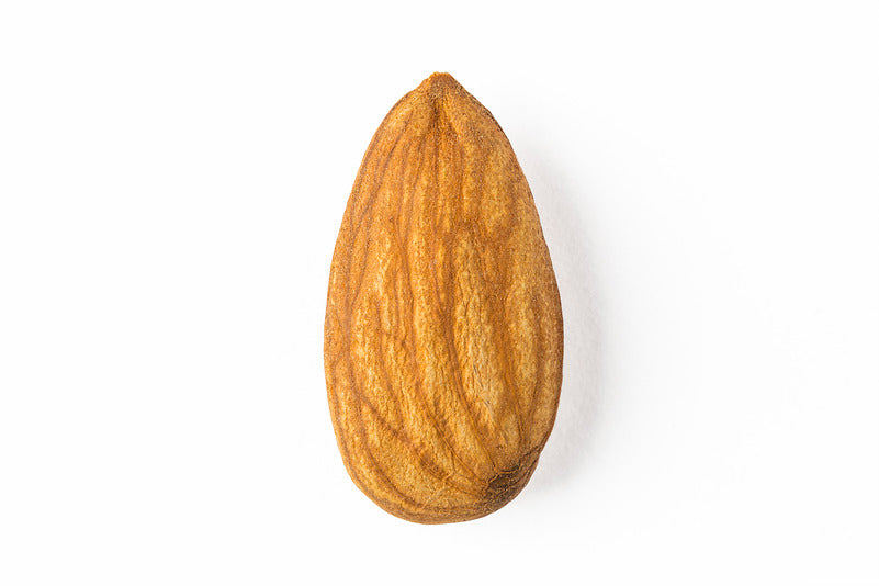 Bulk Natural Almond Nuts - Raw, No Shell